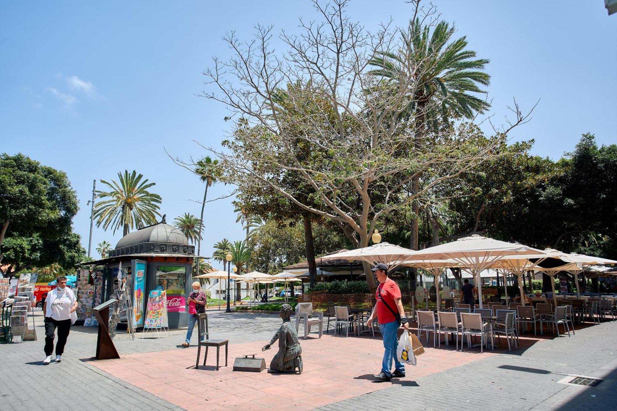 Urban Flat In Santa Catalina - 4 Min Walk To Beach Las Palmas / Gran Canaria Exterior foto